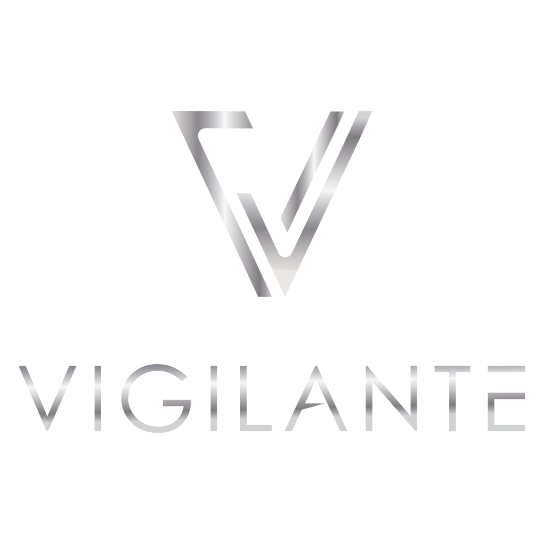 Vigilante Consulting