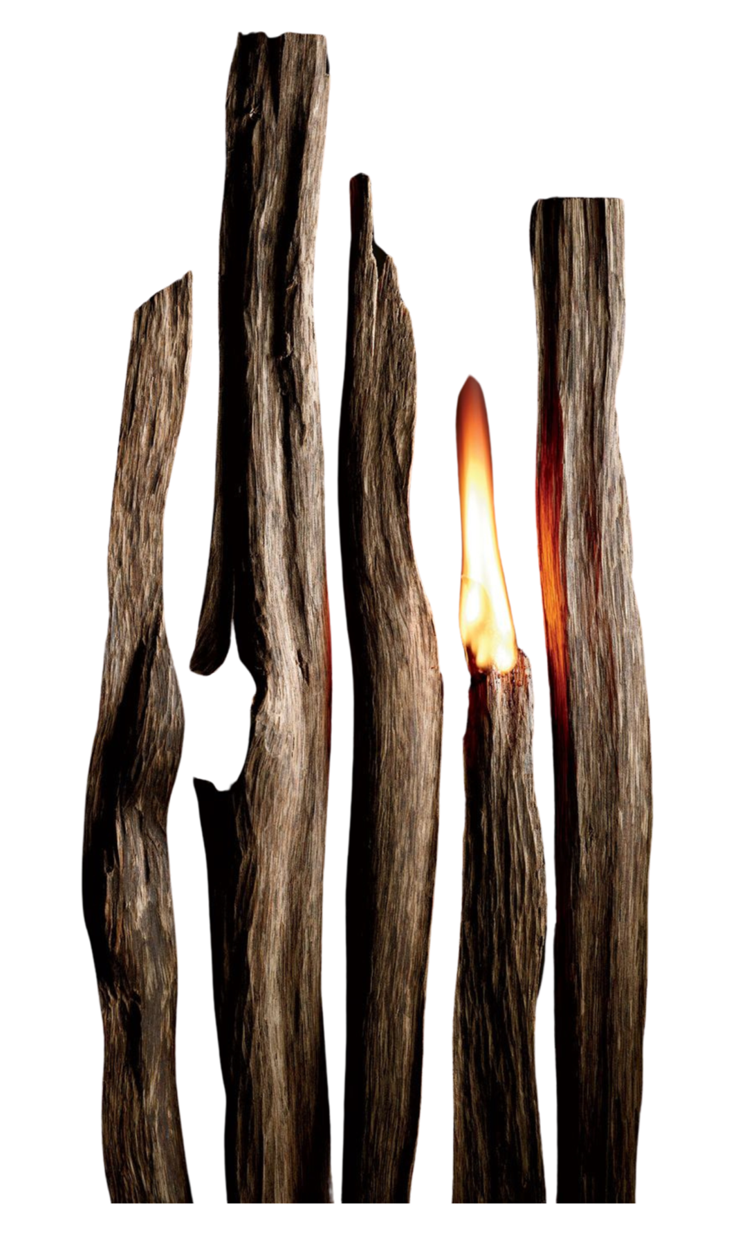 Agarwood, chips, oud, oil