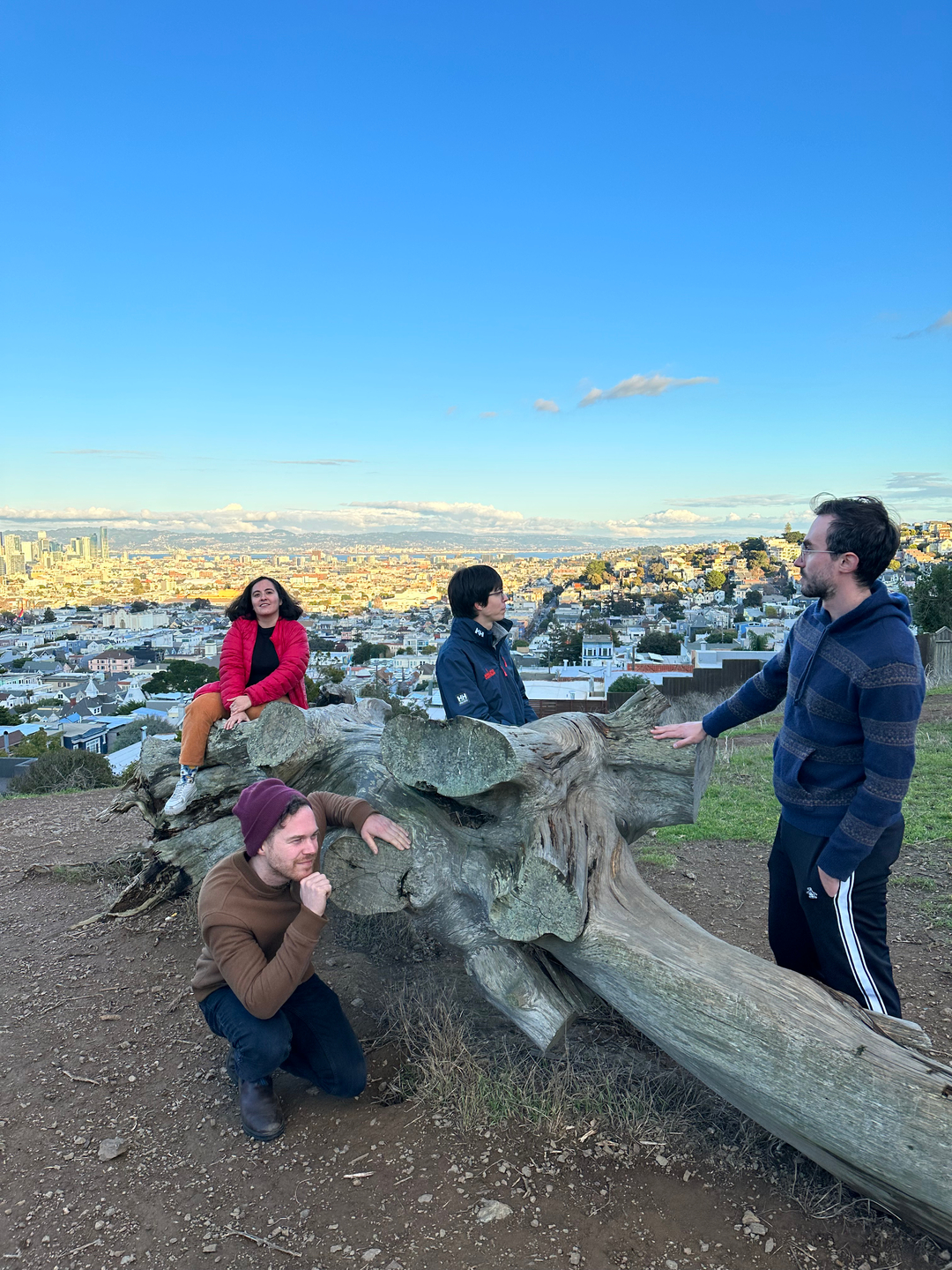 The Coverage Cat team prepares for their new 2022 album to drop while touching a log on Kite Hill.