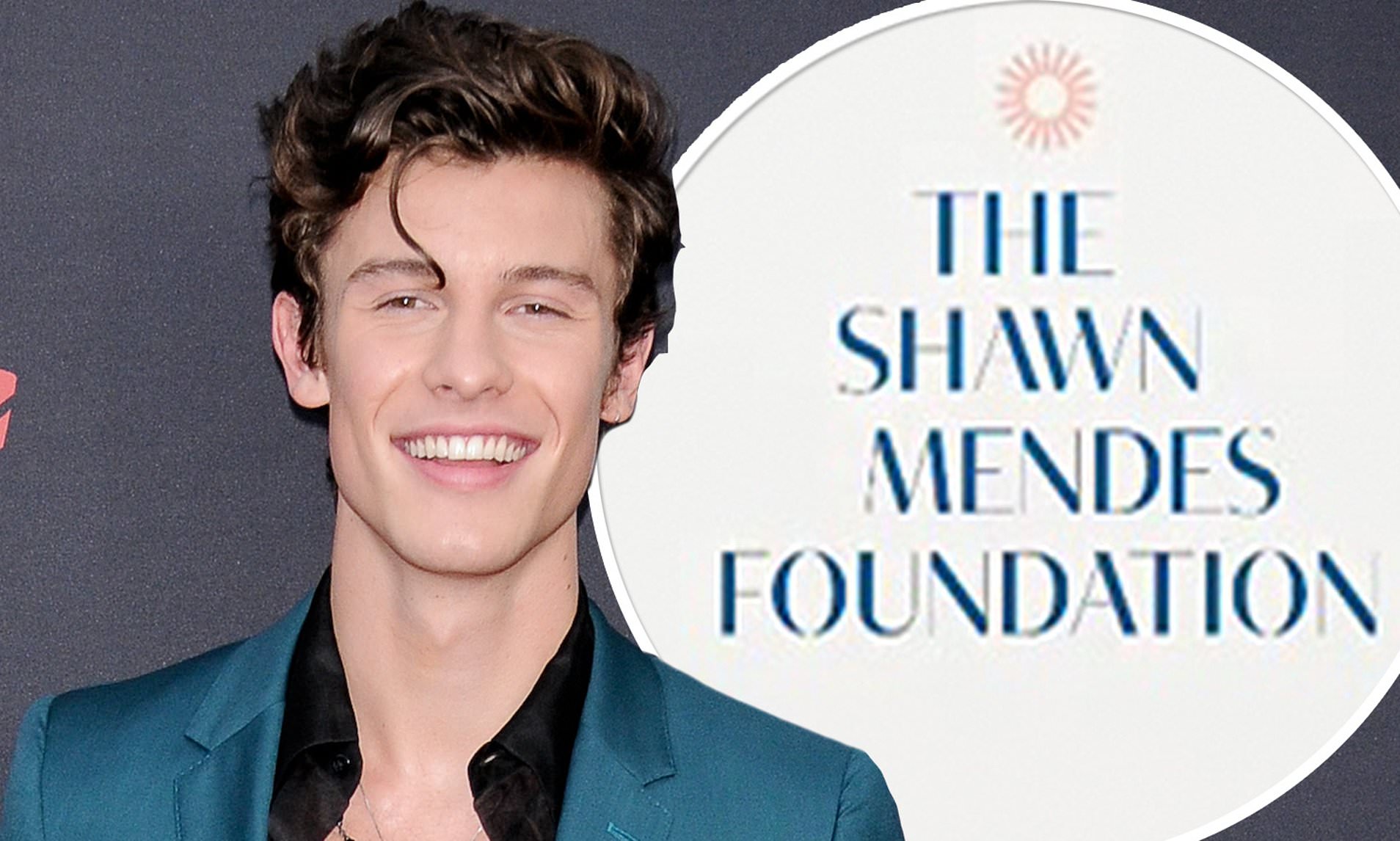 Canadian pop star Shawn Mendes raises money for charity.