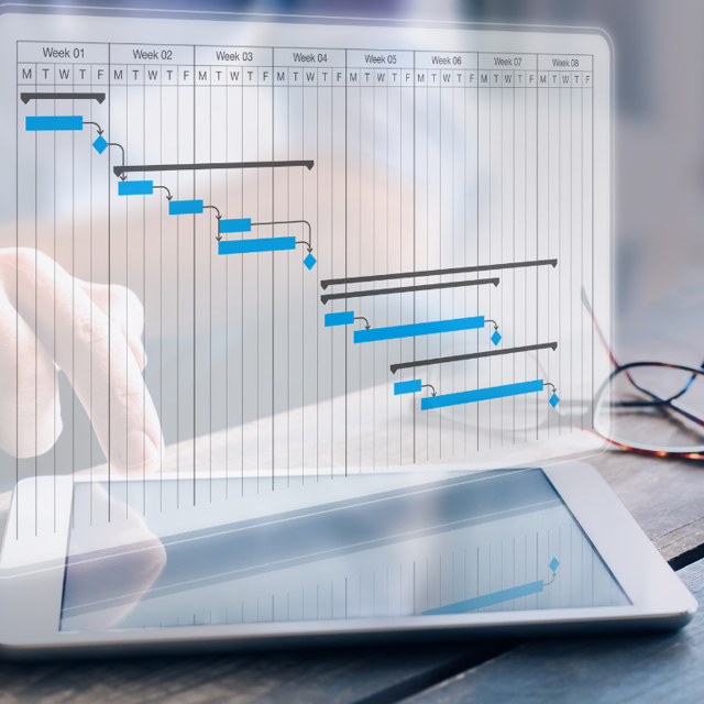 project Gantt chart used by a project manager