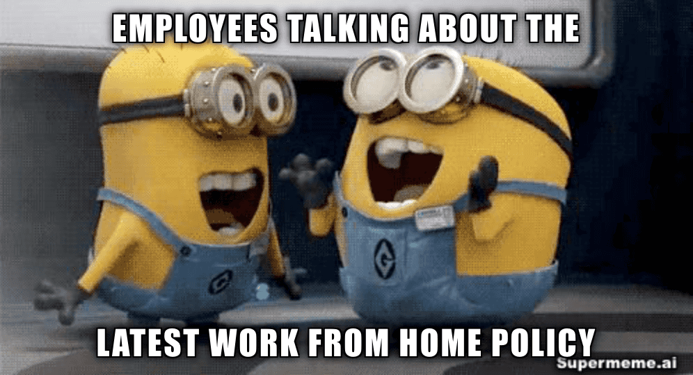 latest work from home policy meme