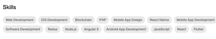 example of a skillset of a top-rated software development agency