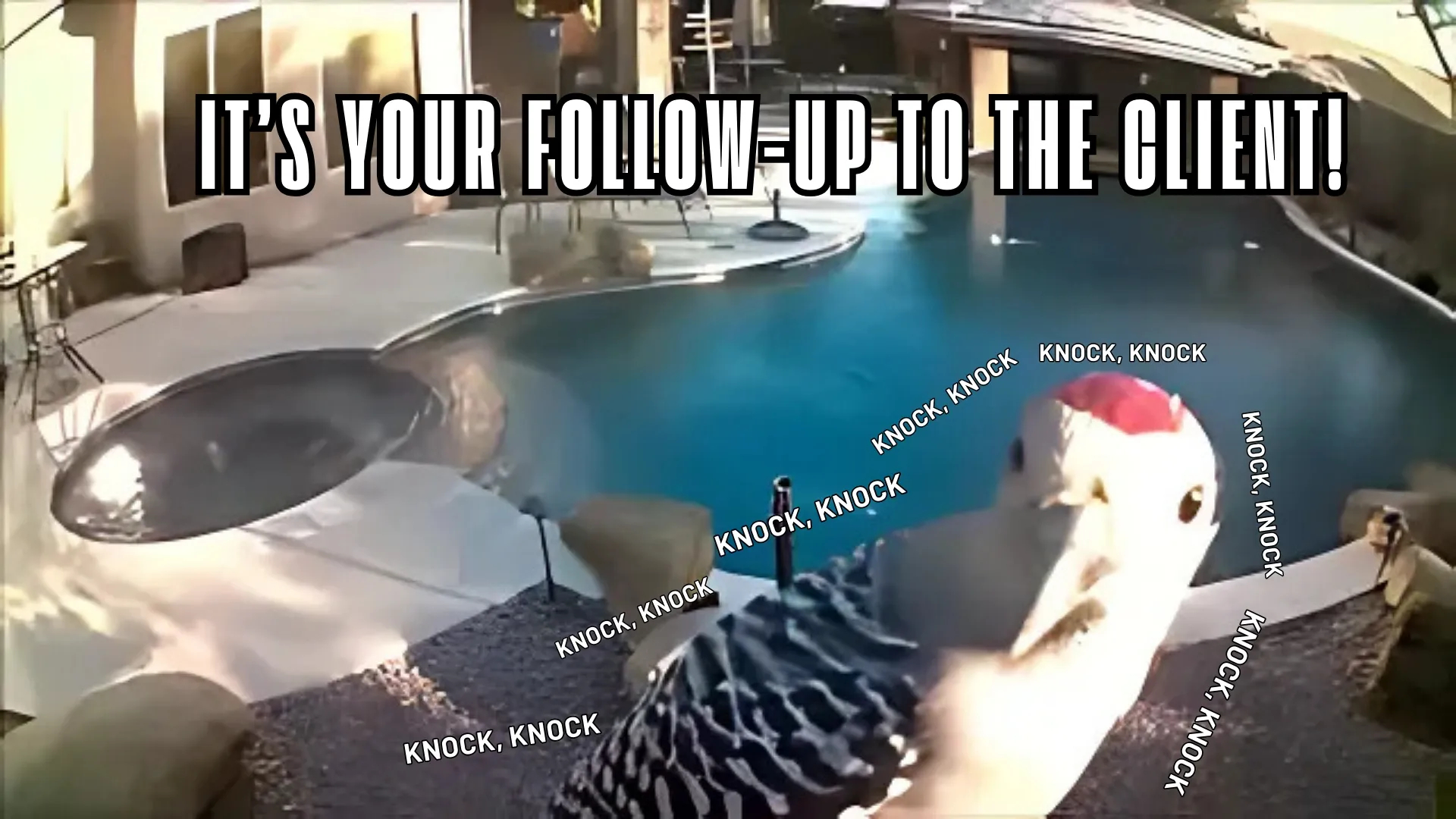 Keep Your Clients Engaged with Quick Follow-Ups