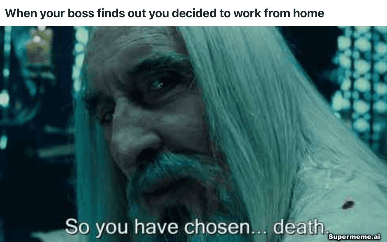work from home meme