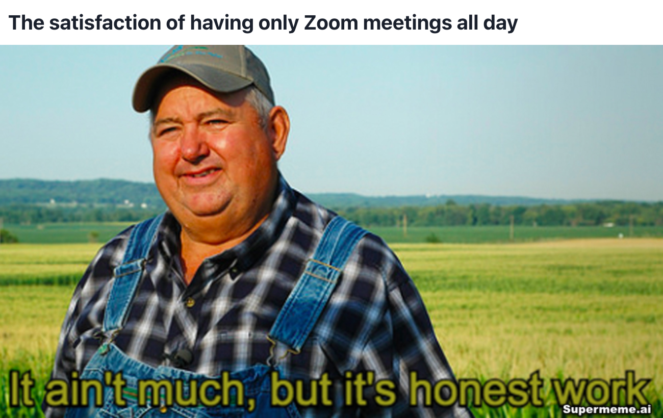 zoom meetings meme satisfaciton
