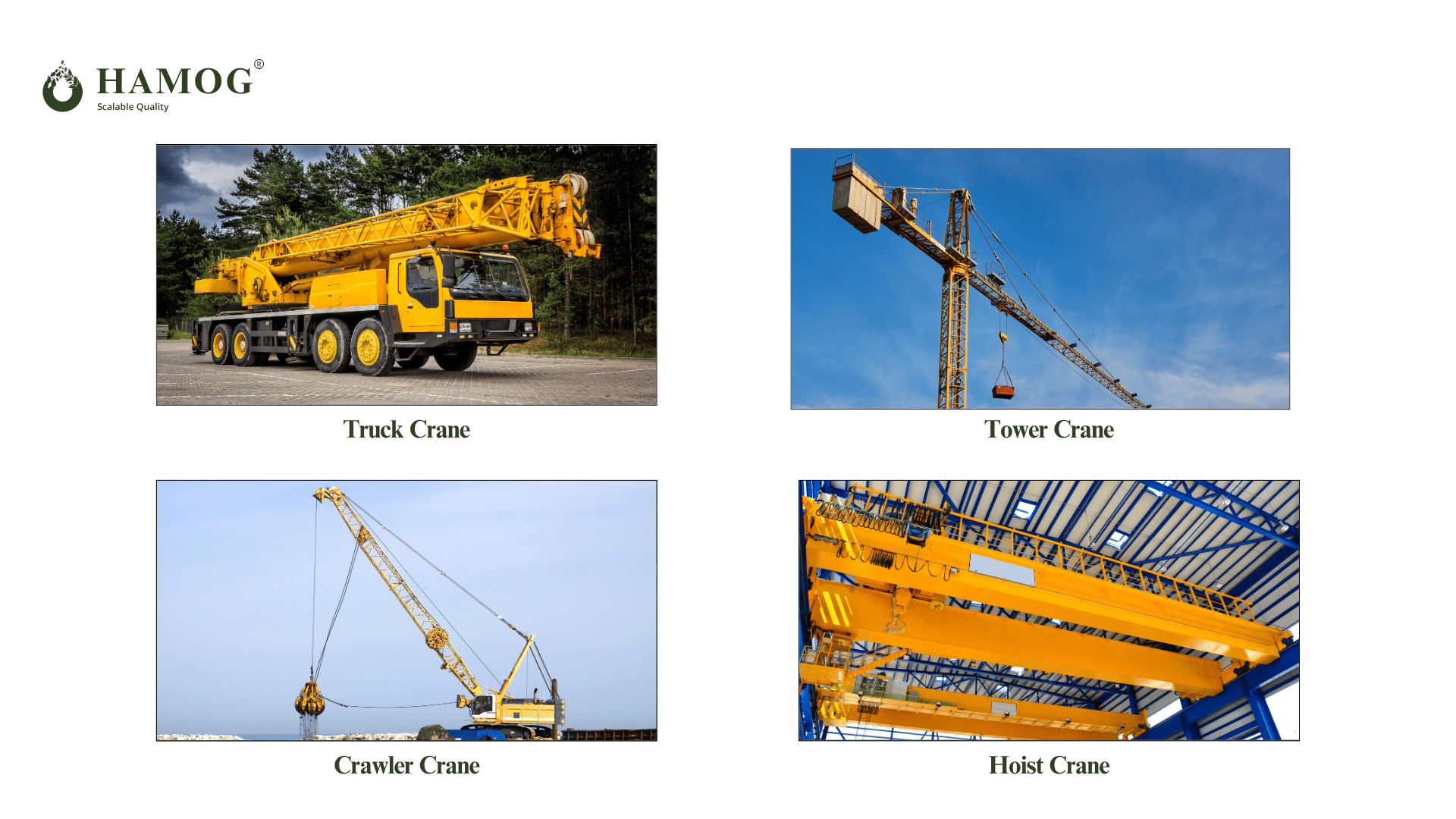 Types of Crane in Material Handling Equipment