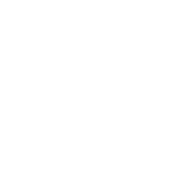 Compliance Queen logo