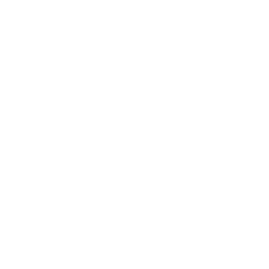 Solvo Global Logo