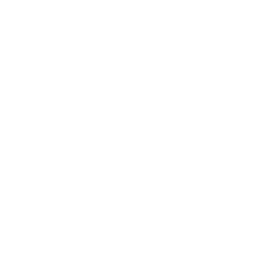 Nelson Mullins Logo