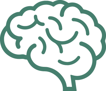 brain illustration