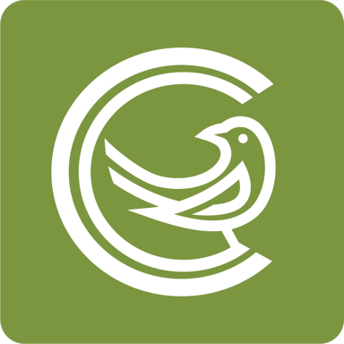 website logo