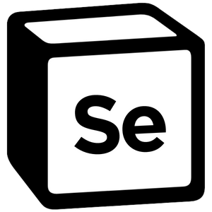website logo