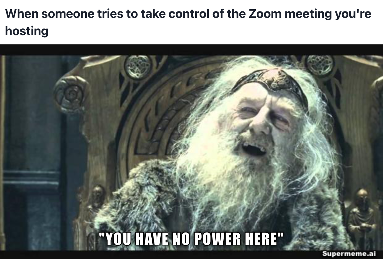 taking control over zoom meetings meme