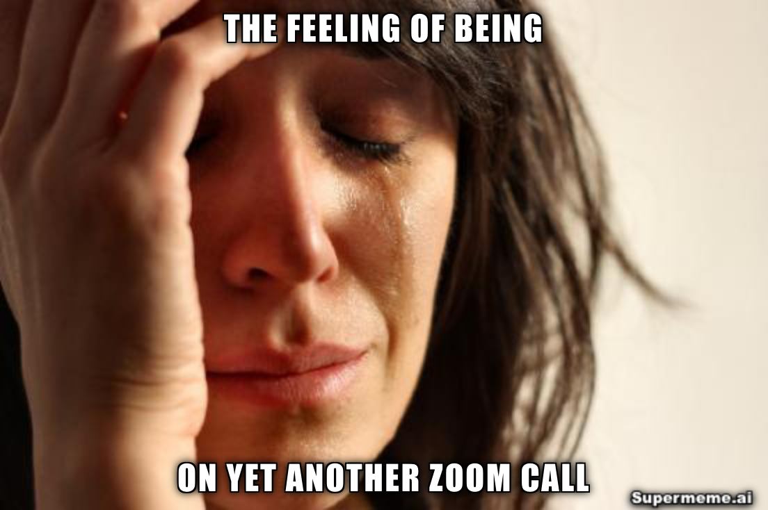 another zoom call meetings meme