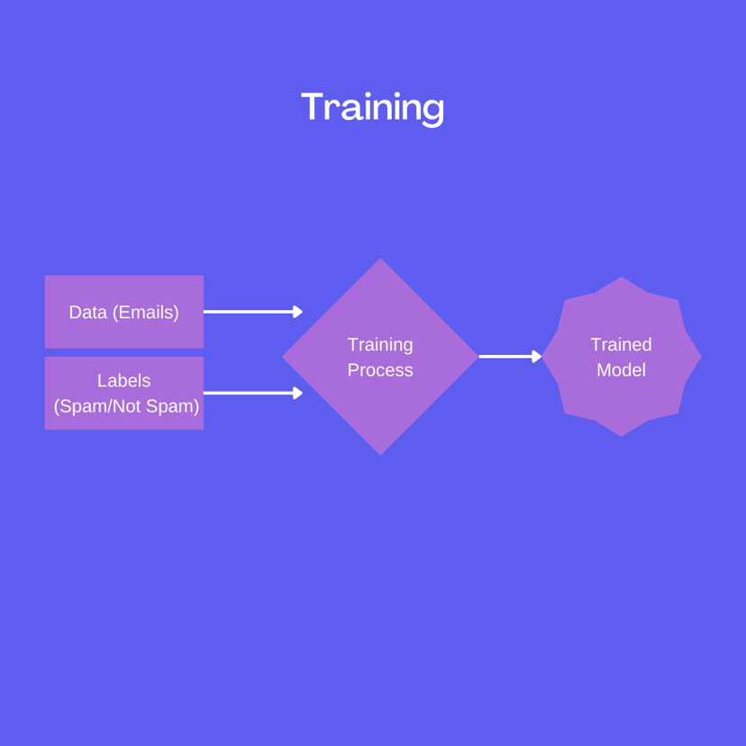 training-phase